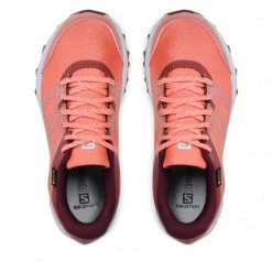 Femme Chaussures SALOMON - Trailster 2 Gtx W GORE TEX 412964 Persimon/Pearl Blue/Winetasting Orange -Salomon Soldes Magasin 0000208742566 07 rz